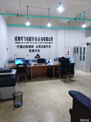 成都市飛毛腿財(cái)務(wù)咨詢 專(zhuān)業(yè)服務(wù)助力企業(yè)穩(wěn)健發(fā)展